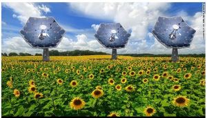 Solar sunflower inspired by nature could bring clean energy anywhere