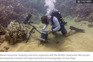 New underwater microscope provides ringside seat to coral turf wars